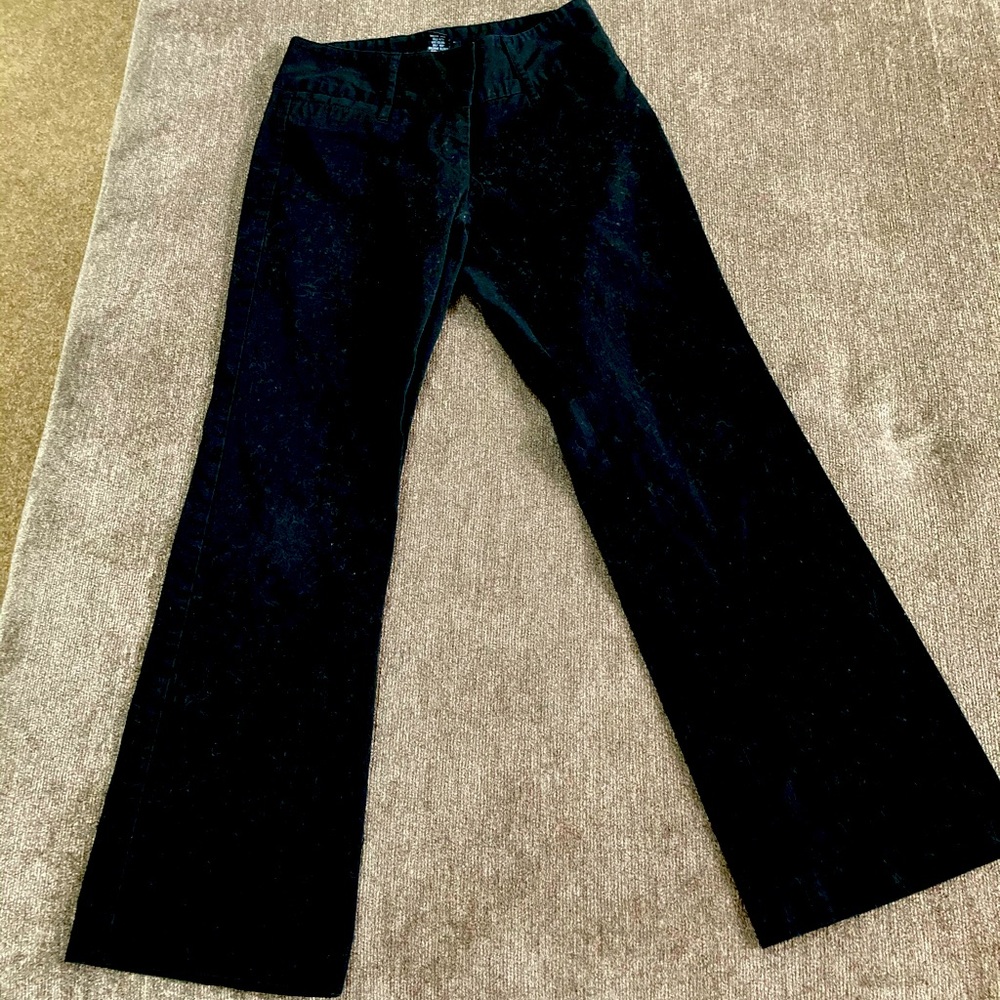 Express Stretch Pants Size 1/2 Short
